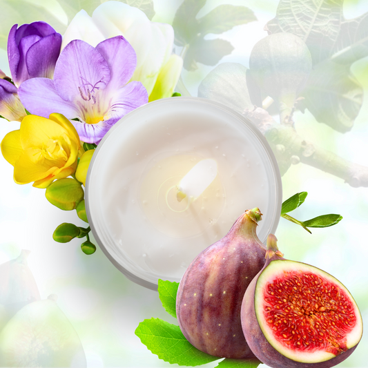Joy • Fig Tree & Freesia