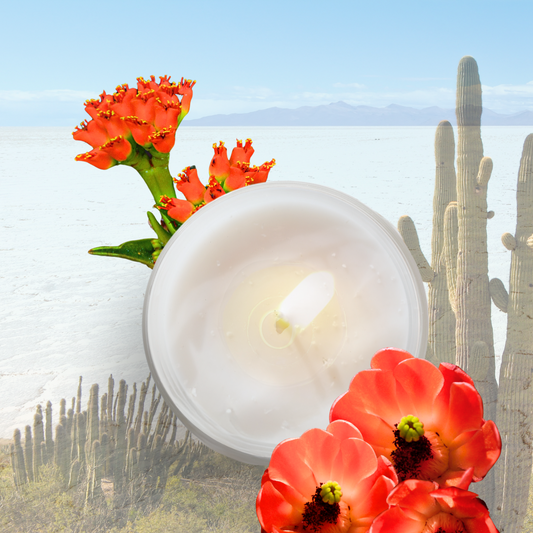 Faith • Cactus Flower & Agave